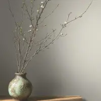 Vliestapete Uni, Struktur Uni Modern matt in Beige...