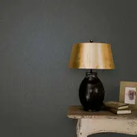 Vliestapete Uni, Textil Uni Klassisch in Schwarz Novamur...