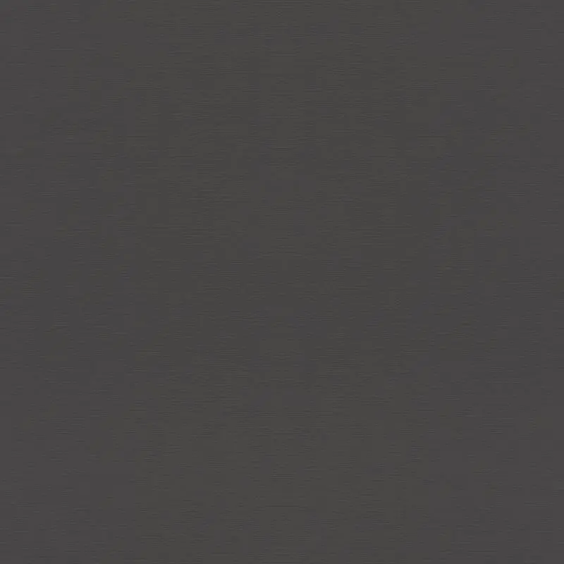 Tapete Schwarz, Anthrazit Rasch Vliestapete (1039548)