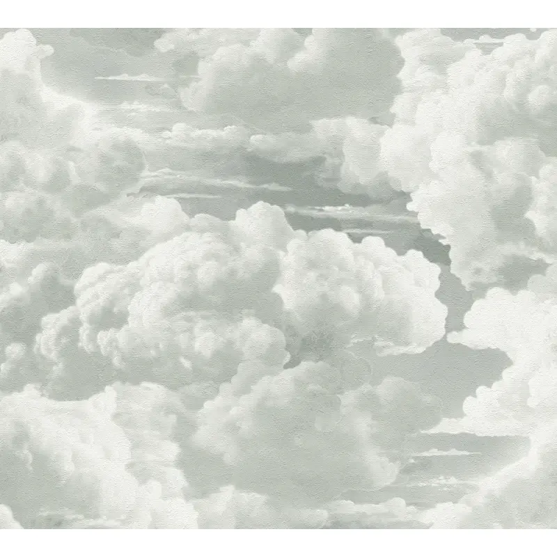 Vliestapete mit Wolkenmotiv in Grau-Weiß (KG-175911)