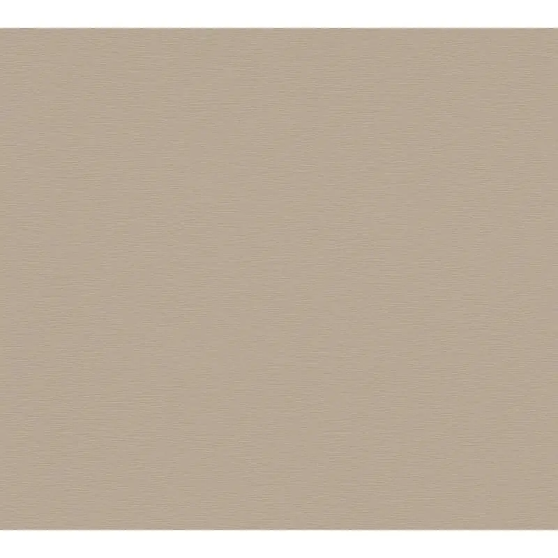 Vliestapete Braun Grau - Einfarbig & Matt AS Creation (KG-176060)