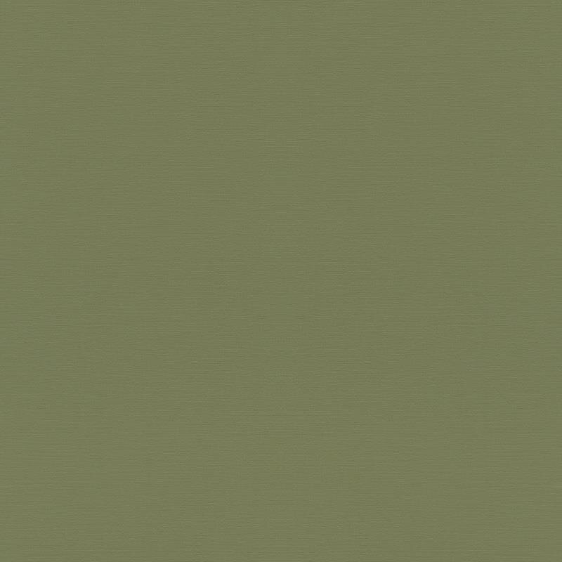 Vliestapete Grün charmant rustikale Atmosphäre Hochwaschbeständig Rasch Country Charme