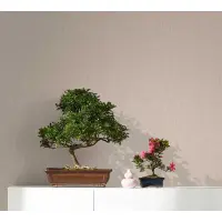 Tapete Beige, Creme Marburg Vliestapete (1039491)