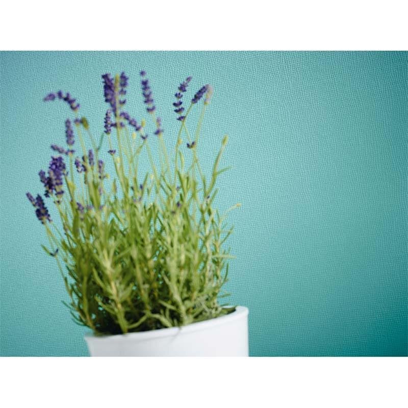 Tapete Weiß Überstreichbar AS-Creation (1018130)