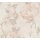 AS-Creations Pintwalls III: Vliestapete mit Blumen / Floral-Design in Beige (KG-176949)