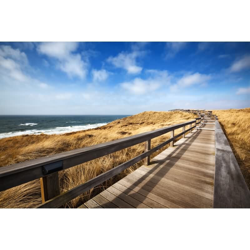 Elegante Vliestapete Beige-Maritim & nautisch - Exklusiv WALL LOVE (KG-176994)