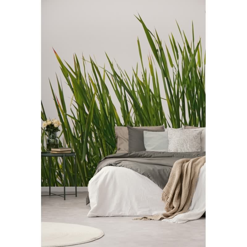 Elegante Vliestapete Grün-Blumen / Floral - Exklusiv WALL LOVE (KG-177002)