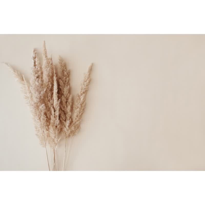 Vliestapete Beige Kunst - WALL LOVE Edition von AS-Creation (KG-177025)