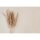 Vliestapete Beige Kunst - WALL LOVE Edition von AS-Creation (KG-177025)