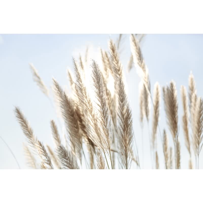 Vliestapete Beige Kunst - WALL LOVE Edition von AS-Creation (KG-177026)