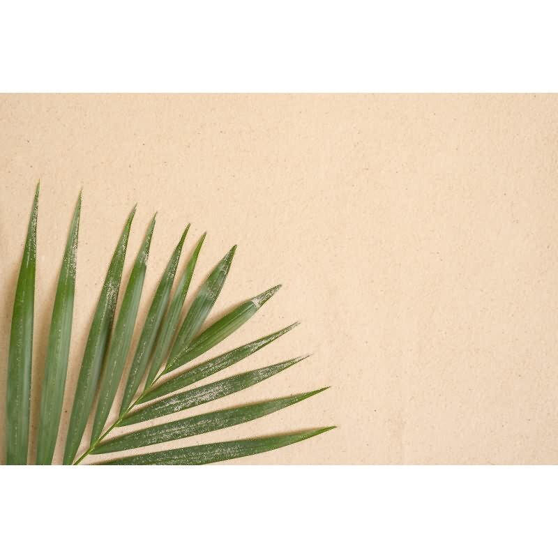 Elegante Vliestapete Beige-Blätter & Zweige - Exklusiv WALL LOVE (KG-177028)