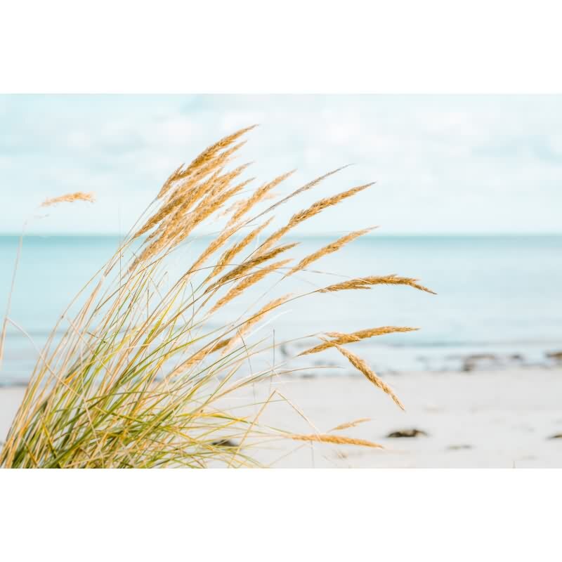 Vliestapete Beige Landschaft - WALL LOVE Edition von AS-Creation (KG-177029)