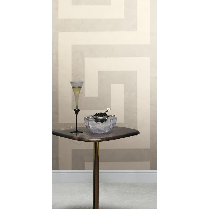 Edle Vliestapete mit Marmor in Grau (Versace 6) (KG-177048)