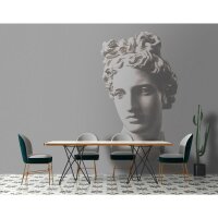 Venus - Grau, Silber &amp; Wei&szlig;iger...