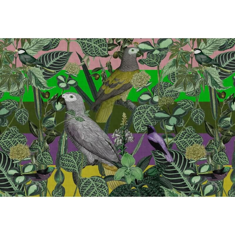 Amazona 2 - Bunt & Grün, Lilaiger Premium-Vliestapete mit vliestapete von AS-Creation (KG-177322)