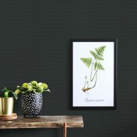 Vinyltapete Anthrazit-Schwarz minimale Kraft Erismann...