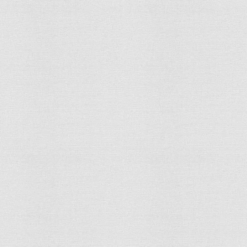 Tapete Weiß Überstreichbar AS-Creation (1018115)