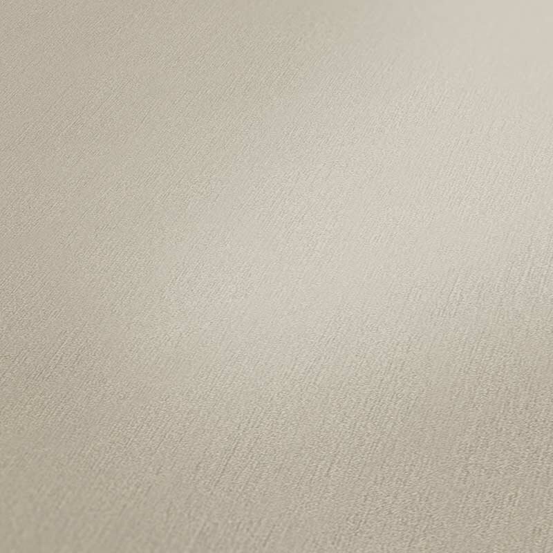 Tapete Braun AS-Creation Vliestapete (1019408)