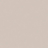 Tapete Braun AS-Creation Vliestapete (1019408)