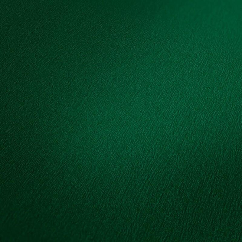 Tapete Grün AS-Creation Vliestapete (1038723)