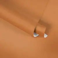 Tapete Orange, Terrakotta AS-Creation Vliestapete (1037523)