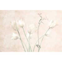 Digitaldruck-Tapete morning room 3 livingwalls (1037037)