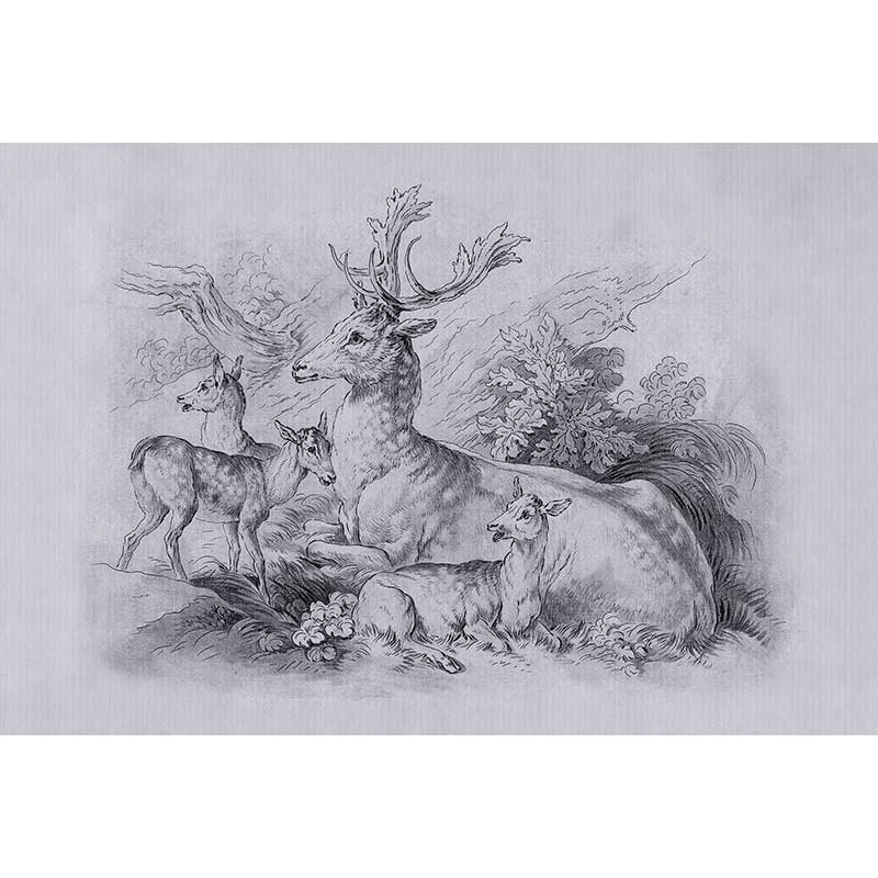 Digitaldruck-Tapete on the grass 2 livingwalls (1037034)