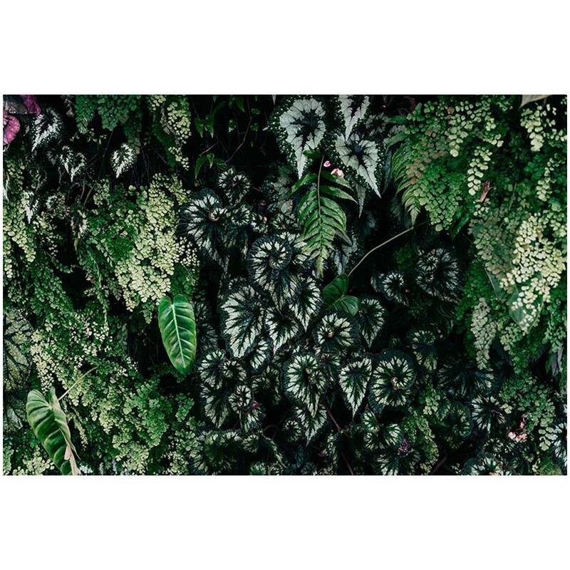 Digitaldruck-Tapete deep green 2 livingwalls (1036962)