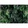 Digitaldruck-Tapete deep green 2 livingwalls (1036962)