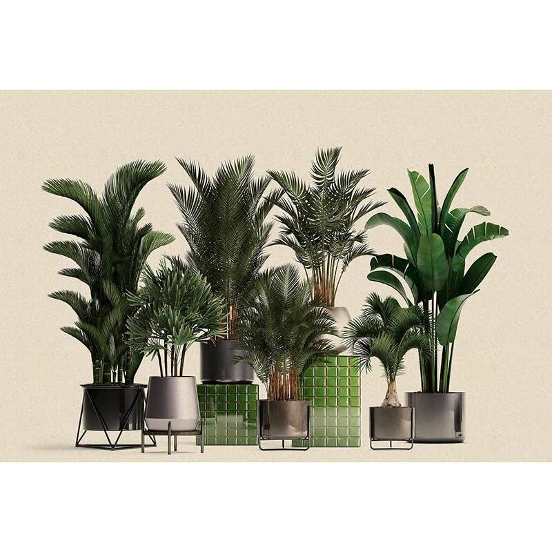 Digitaldruck-Tapete plant shop 1 livingwalls (1036959)