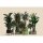 Digitaldruck-Tapete plant shop 1 livingwalls (1036959)