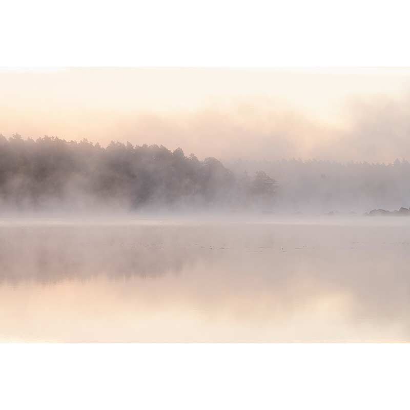 Digitaldruck-Tapete avalon 2 livingwalls (1036955)