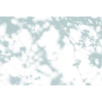 Digitaldruck-Tapete light room 2 livingwalls (1036946)