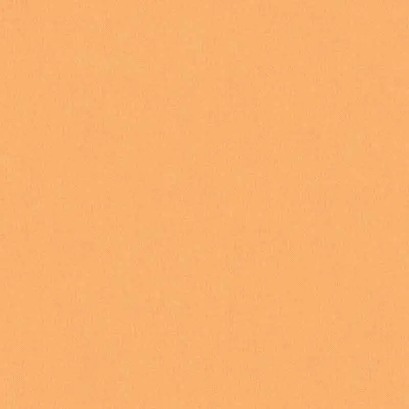 Tapete Orange, Terrakotta Architects Paper Vliestapete (1036755)