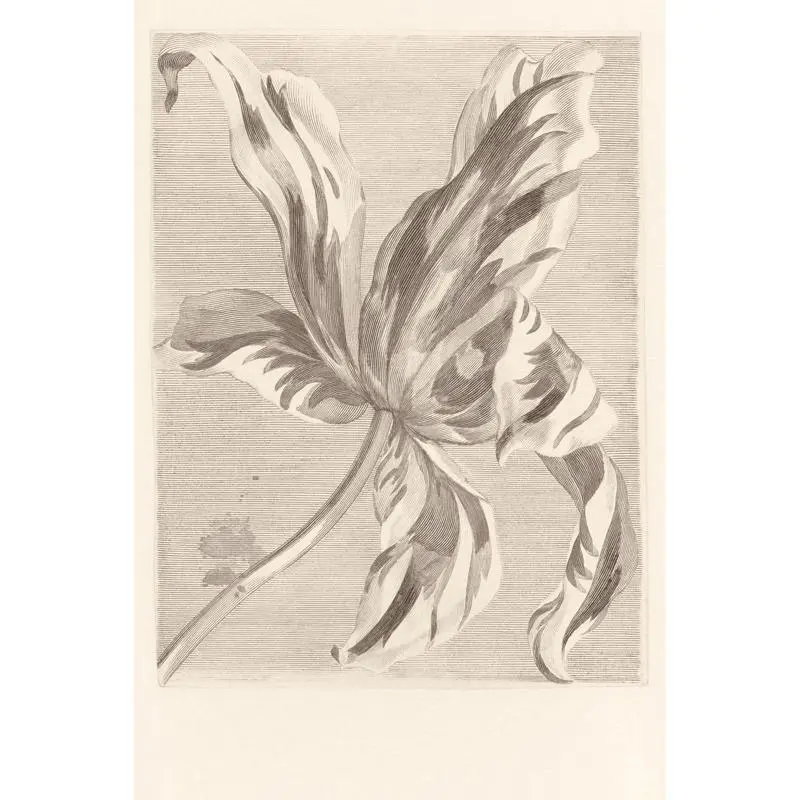 Digitaldruck-Tapete Beige, Creme, Grau, Silber Eijffinger (1020186)