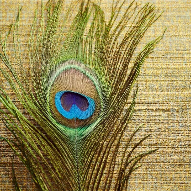 Tapete Pastellfarben, Rosa, Rose Eijffinger Vliestapete (1020170)