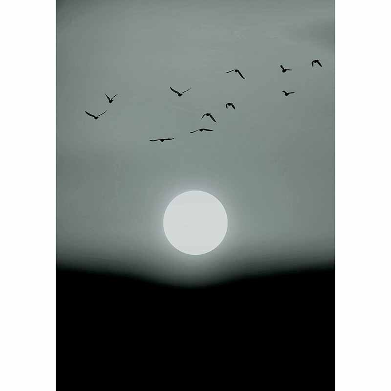 Digitaldruck-Tapete Winter Lights livingwalls (1036364)