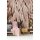 Digitaldruck-Tapete Feathers 1 livingwalls (1036342)
