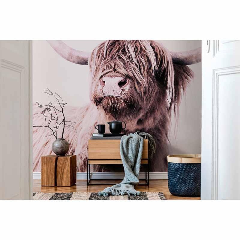 Digitaldruck-Tapete Highland Cattle 1 livingwalls (1036337)