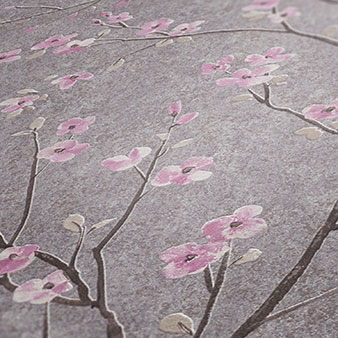 Tapete Rosa japanische Kirschblüte Sakura