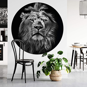 Runde Tapete DD119196 Designwalls 2.0 Lion