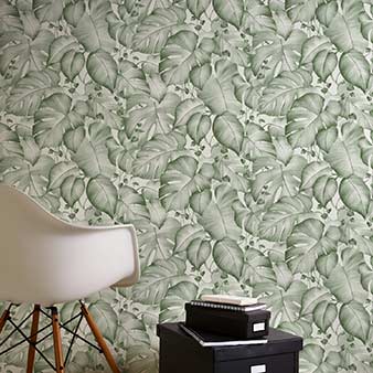 Tapete exotisch Monstera