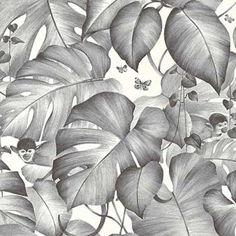 Exotische Tapete Affen Monstera